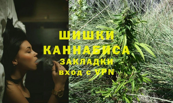 шишки Алексин