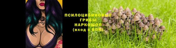 ешки Абинск