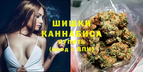 шишки Алексин