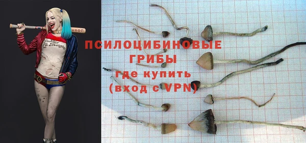 ешки Абинск