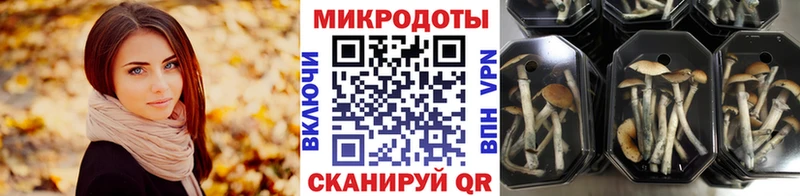 blacksprut   где продают наркотики  Нальчик  Псилоцибиновые грибы ЛСД 